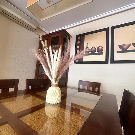 Homely Centro Apartment *